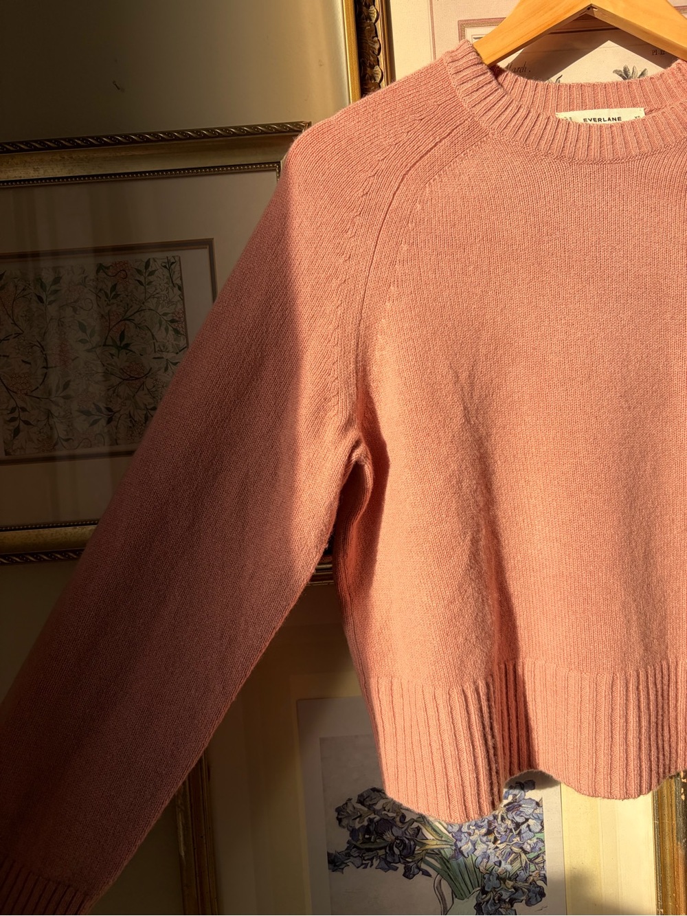 Everlane The Boxy Crew in Cashmere Clay Pink XL - Picture 11 of 13